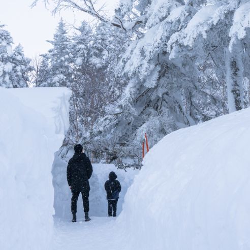 雪の回廊を歩く親子