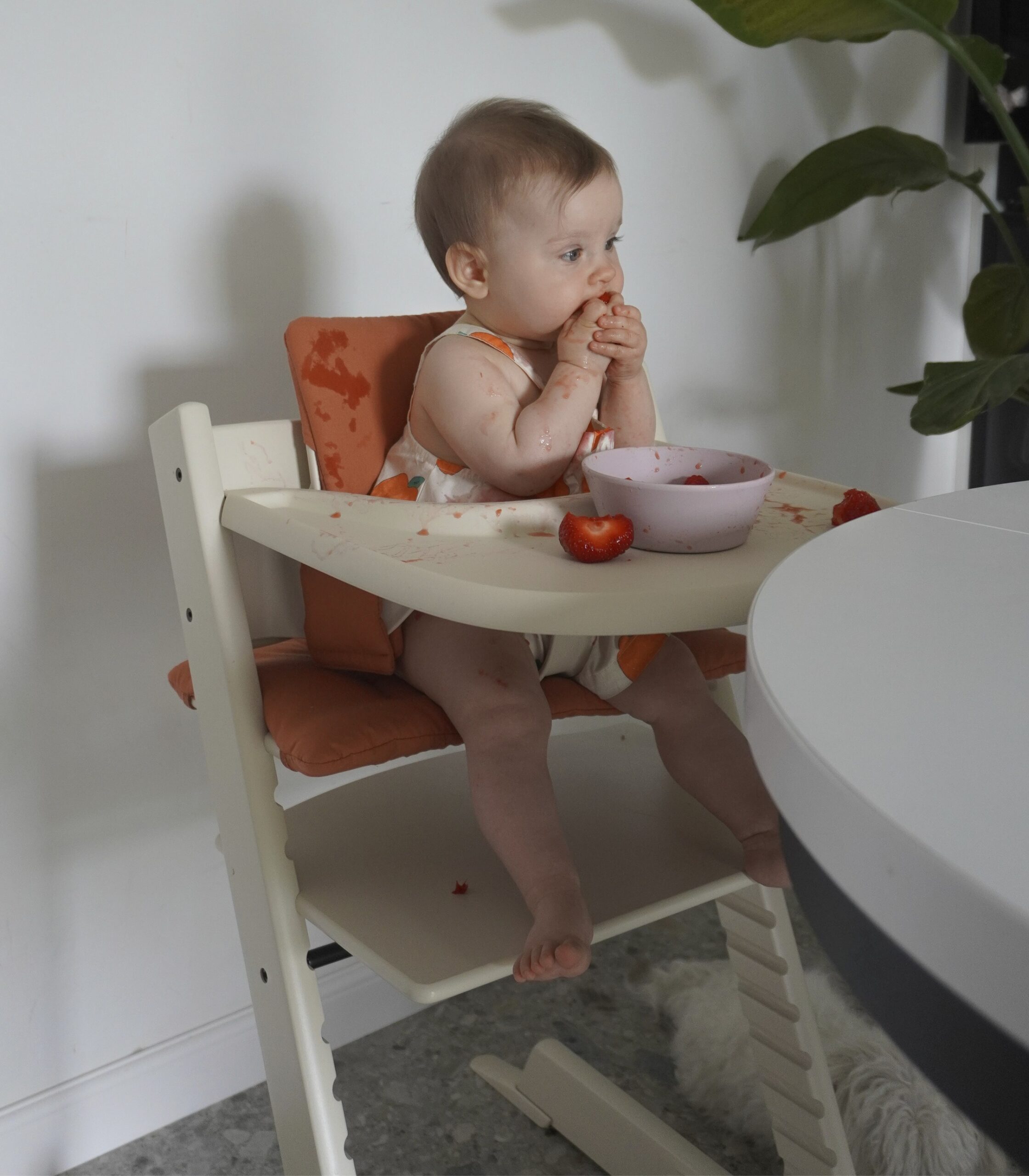 ベビーセットとトレーを付けたトリップトラップに座る赤ちゃん