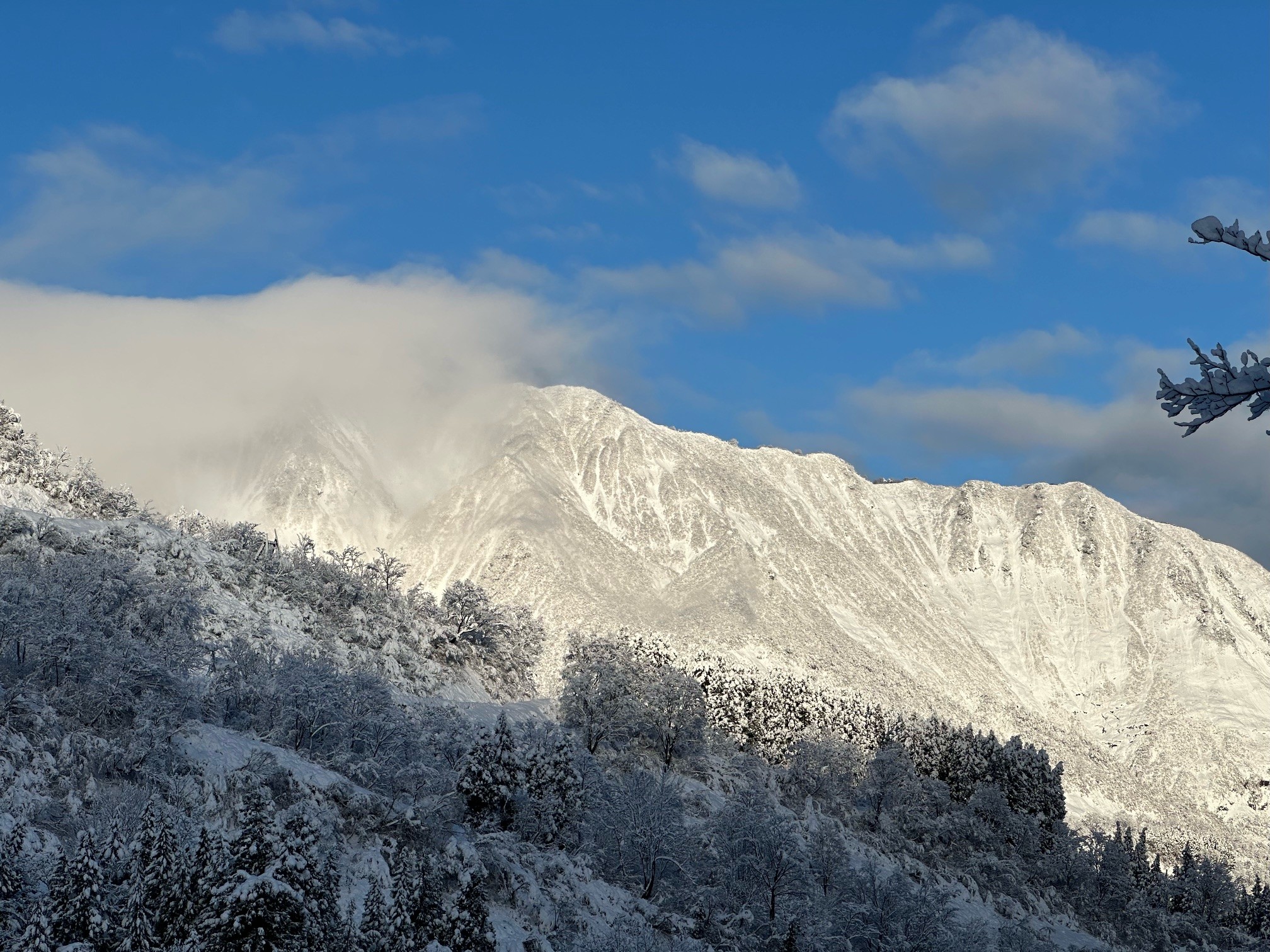 スキー場の駐車場から見た雪をかぶった山